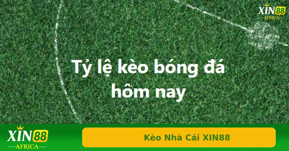Kèo tỷ số, kèo rung, kèo phạt góc là một vài loại kèo cũng khá được ưa chuộng